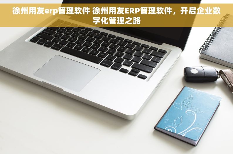 徐州用友erp管理软件 徐州用友ERP管理软件，开启企业数字化管理之路