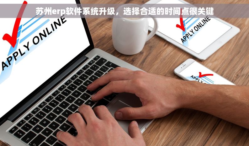苏州erp软件系统升级，选择合适的时间点很关键