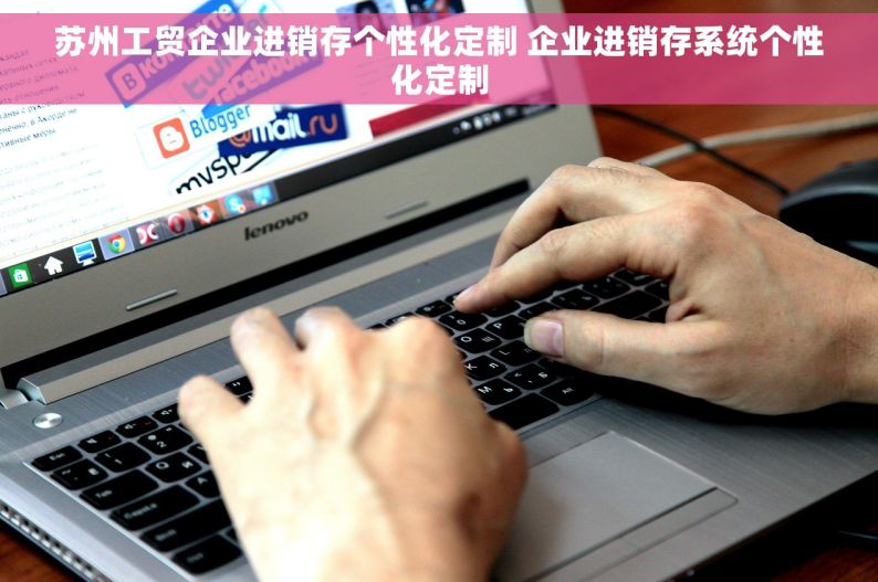 苏州工贸企业进销存个性化定制 企业进销存系统个性化定制