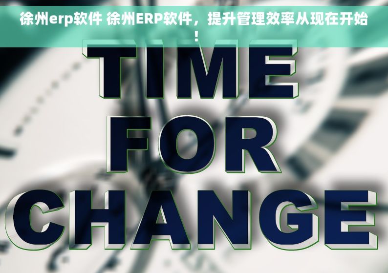 徐州erp软件 徐州ERP软件，提升管理效率从现在开始！