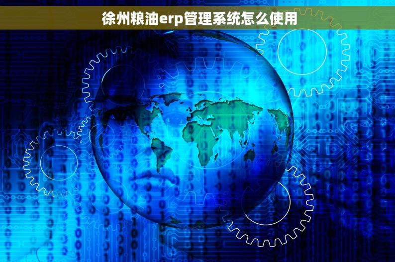  徐州粮油erp管理系统怎么使用