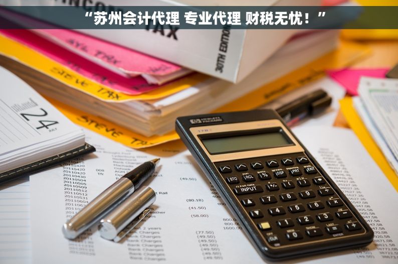 “苏州会计代理 专业代理 财税无忧！”