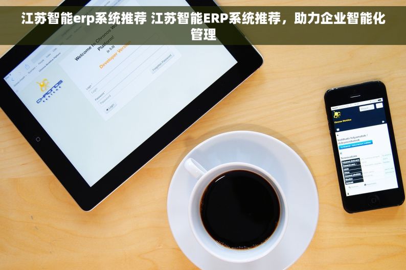 江苏智能erp系统推荐 江苏智能ERP系统推荐，助力企业智能化管理