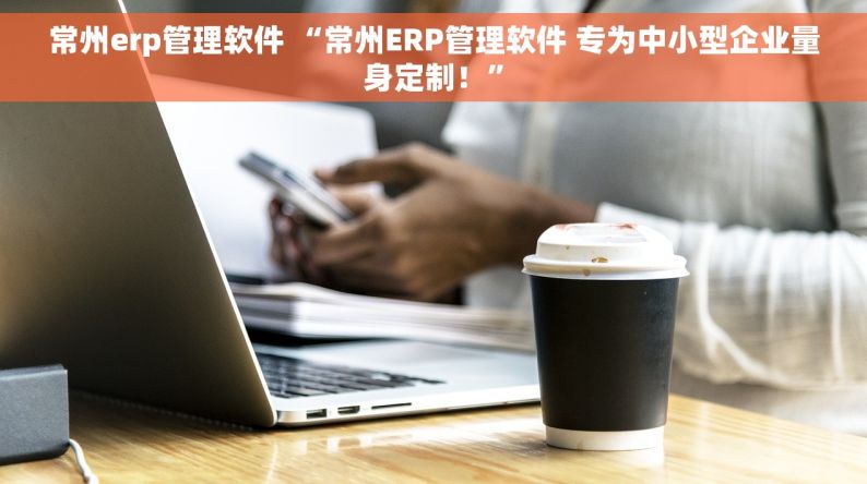 常州erp管理软件 “常州ERP管理软件 专为中小型企业量身定制！”