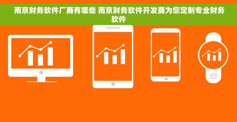  南京财务软件厂商有哪些 南京财务软件开发商为您定制专业财务软件