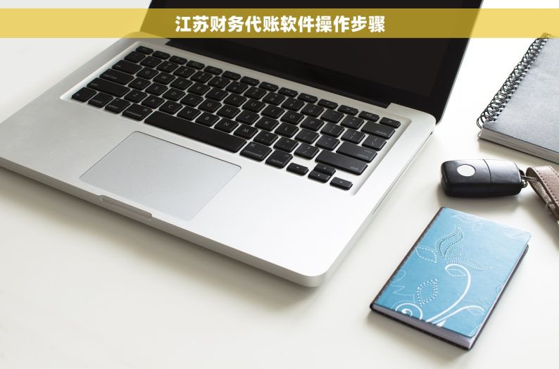 江苏财务代账软件操作步骤