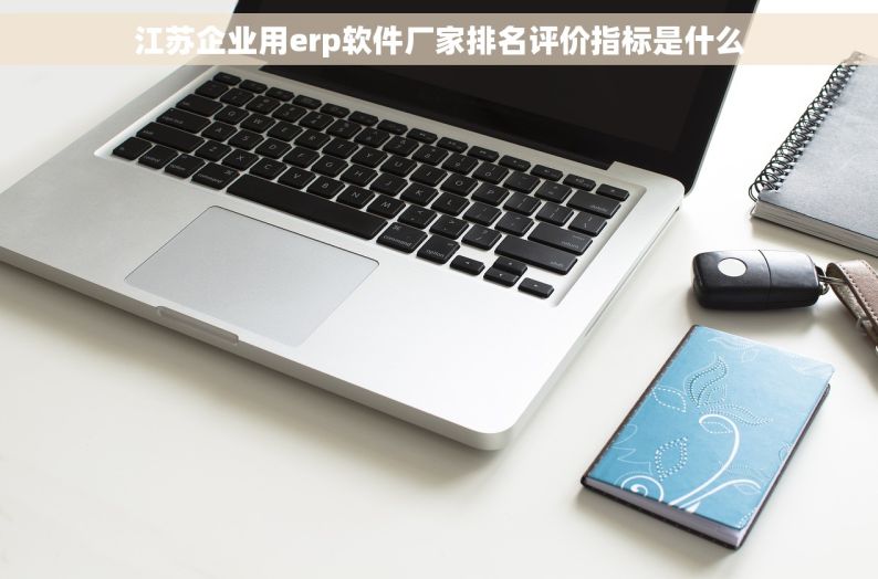 江苏企业用erp软件厂家排名评价指标是什么
