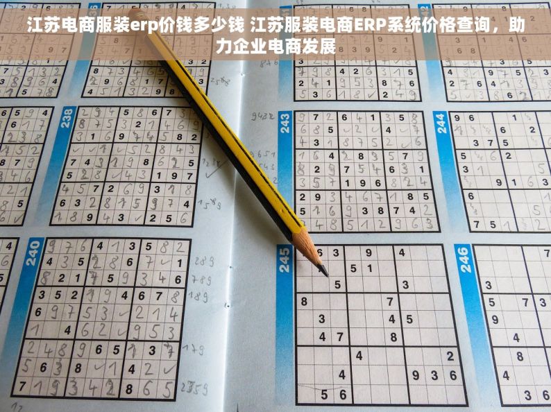 江苏电商服装erp价钱多少钱 江苏服装电商ERP系统价格查询，助力企业电商发展