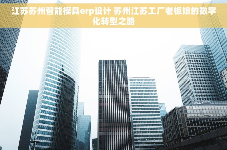 江苏苏州智能模具erp设计 苏州江苏工厂老板娘的数字化转型之路