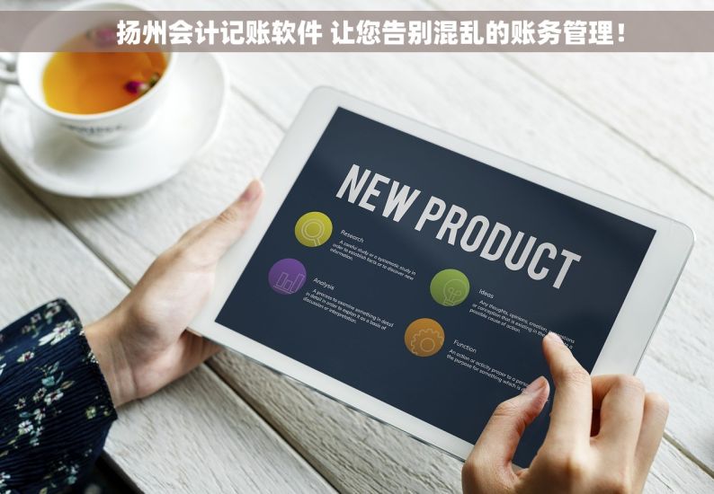     扬州会计记账软件 让您告别混乱的账务管理！