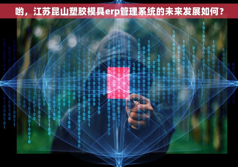 哟，江苏昆山塑胶模具erp管理系统的未来发展如何？