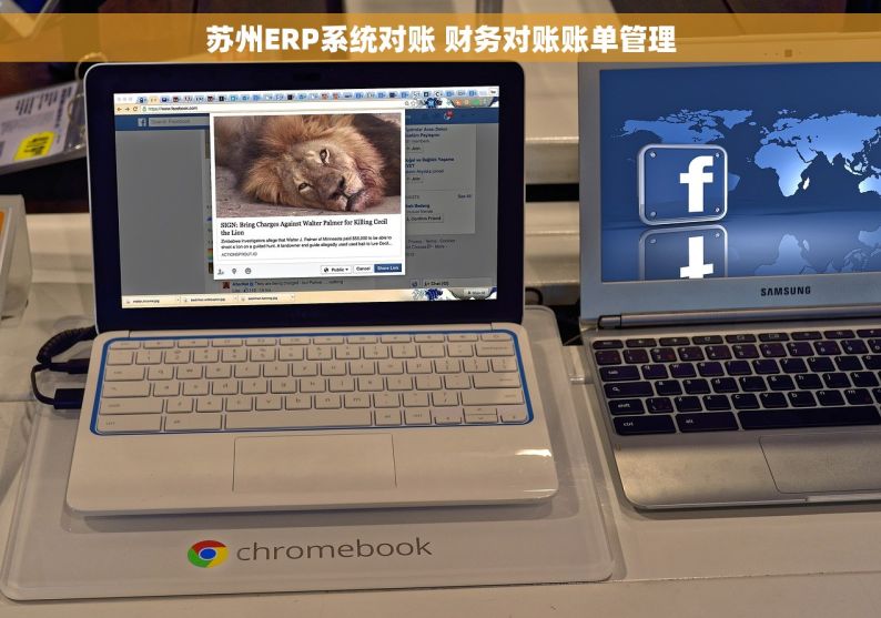 苏州ERP系统对账 财务对账账单管理