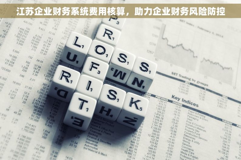 江苏企业财务系统费用核算，助力企业财务风险防控