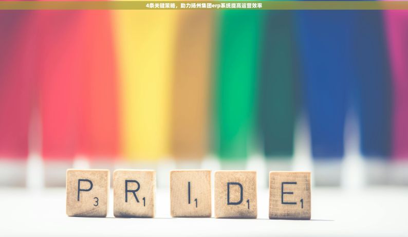 4条关键策略，助力扬州集团erp系统提高运营效率