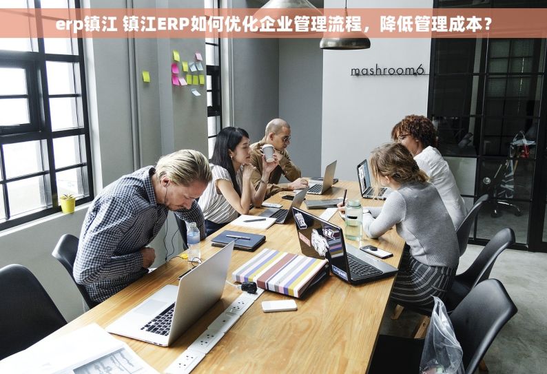 erp镇江 镇江ERP如何优化企业管理流程，降低管理成本？