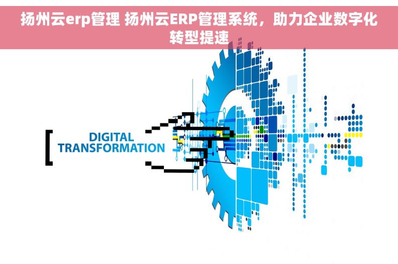 扬州云erp管理 扬州云ERP管理系统，助力企业数字化转型提速