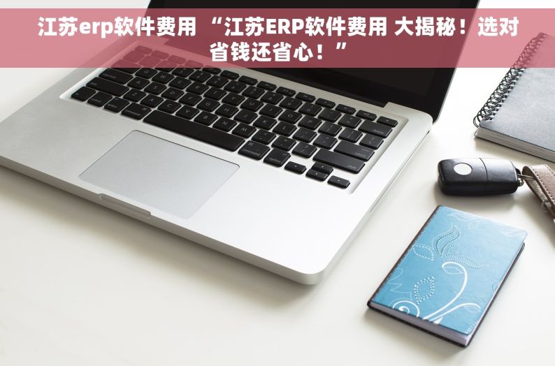 江苏erp软件费用 “江苏ERP软件费用 大揭秘！选对省钱还省心！”