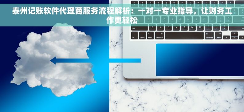 泰州记账软件代理商服务流程解析：一对一专业指导，让财务工作更轻松