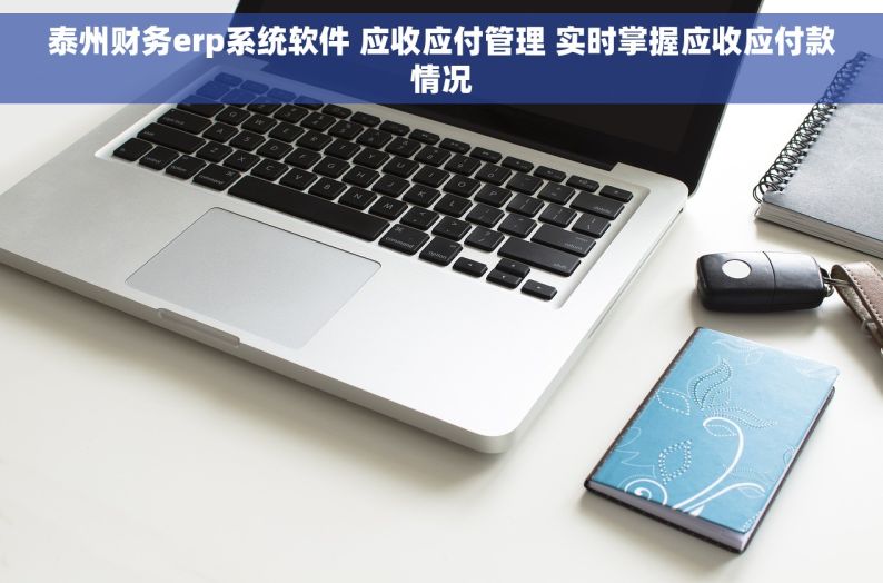 泰州财务erp系统软件 应收应付管理 实时掌握应收应付款情况