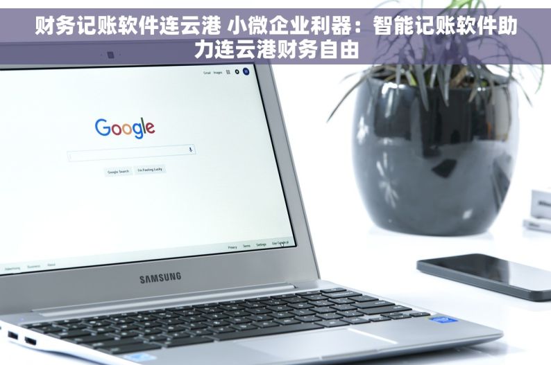 财务记账软件连云港 小微企业利器：智能记账软件助力连云港财务自由