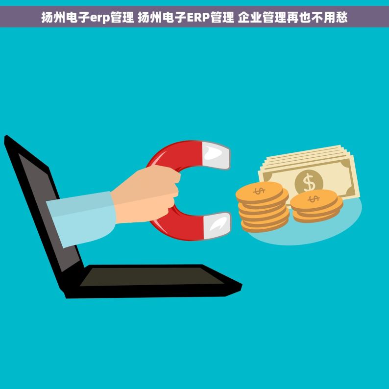 扬州电子erp管理 扬州电子ERP管理 企业管理再也不用愁
