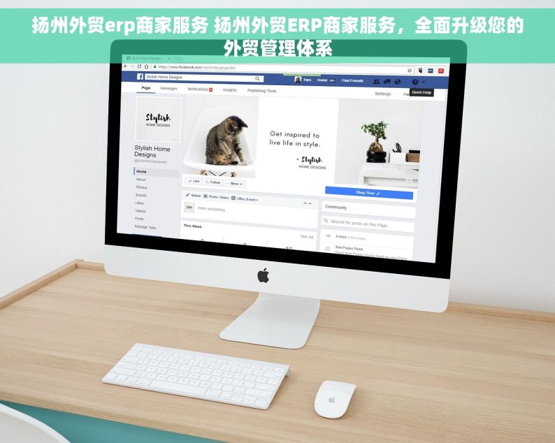 扬州外贸erp商家服务 扬州外贸ERP商家服务，全面升级您的外贸管理体系