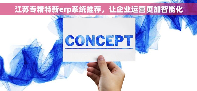 江苏专精特新erp系统推荐，让企业运营更加智能化