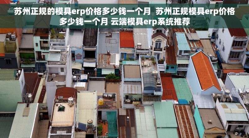 苏州正规的模具erp价格多少钱一个月  苏州正规模具erp价格多少钱一个月 云端模具erp系统推荐