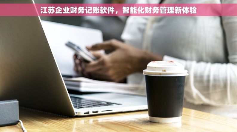 江苏企业财务记账软件，智能化财务管理新体验