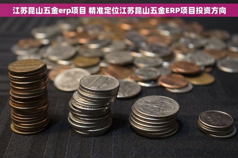 江苏昆山五金erp项目 精准定位江苏昆山五金ERP项目投资方向