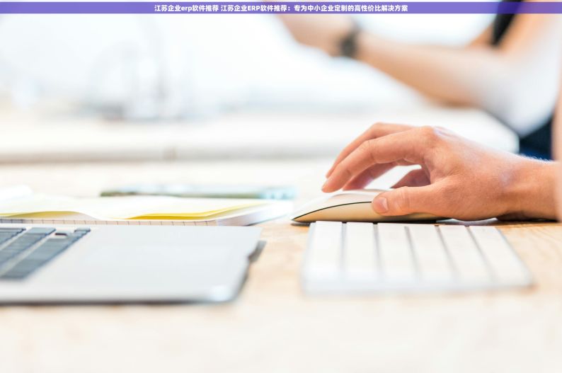 江苏企业erp软件推荐 江苏企业ERP软件推荐：专为中小企业定制的高性价比解决方案