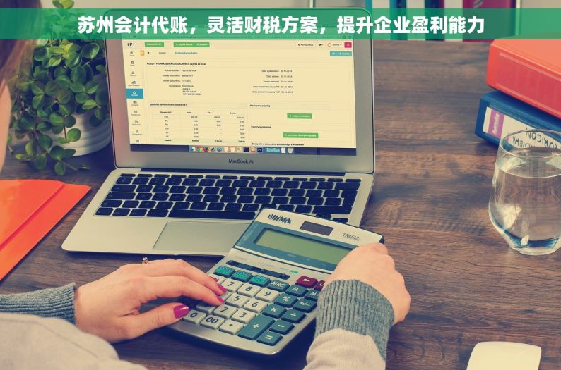 苏州会计代账，灵活财税方案，提升企业盈利能力