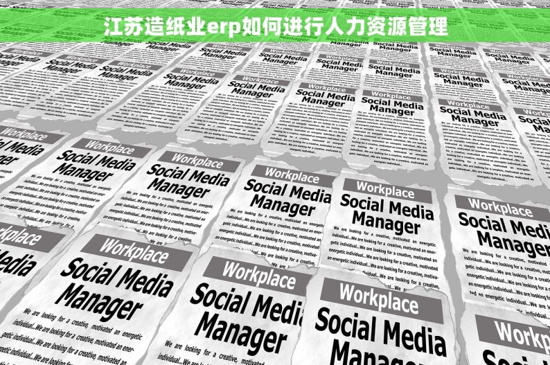 江苏造纸业erp如何进行人力资源管理