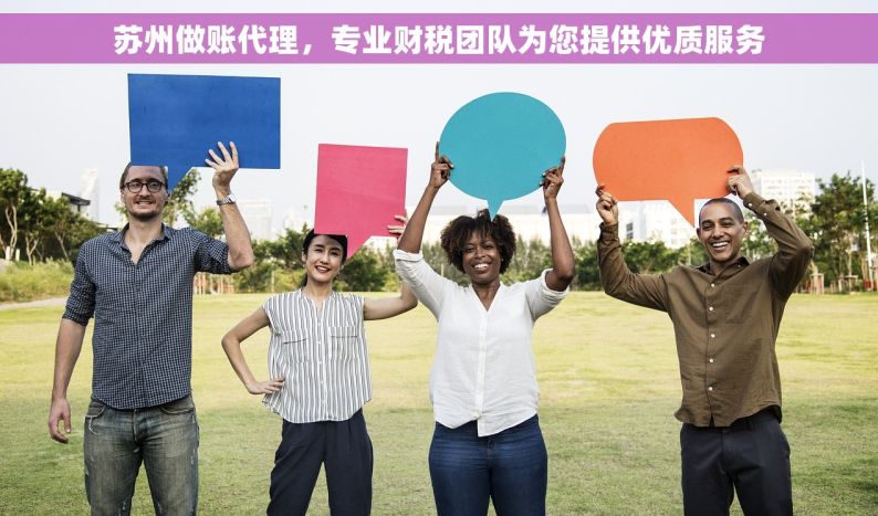 苏州做账代理，专业财税团队为您提供优质服务