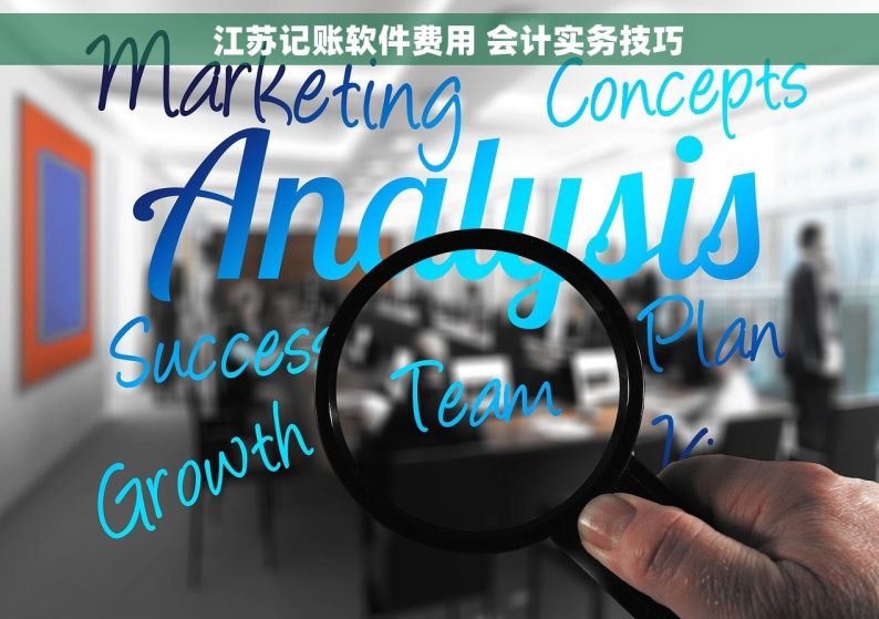   江苏记账软件费用 会计实务技巧