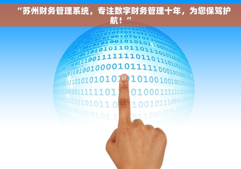 “苏州财务管理系统，专注数字财务管理十年，为您保驾护航！”