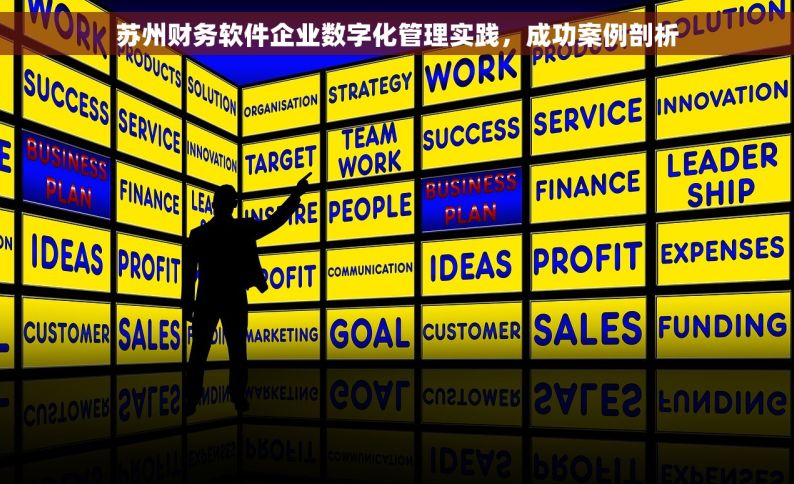 苏州财务软件企业数字化管理实践，成功案例剖析