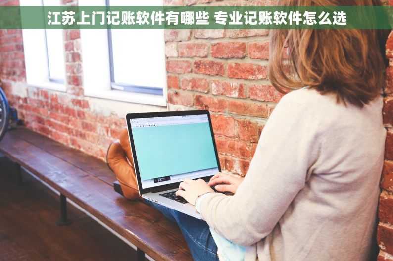 江苏上门记账软件有哪些 专业记账软件怎么选