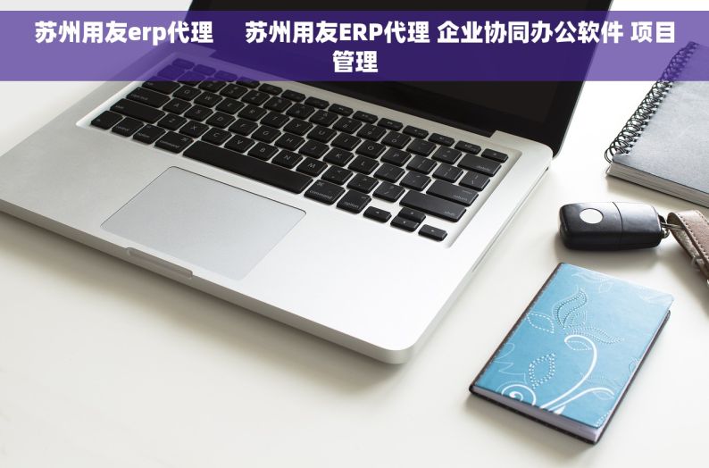 苏州用友erp代理     苏州用友ERP代理 企业协同办公软件 项目管理