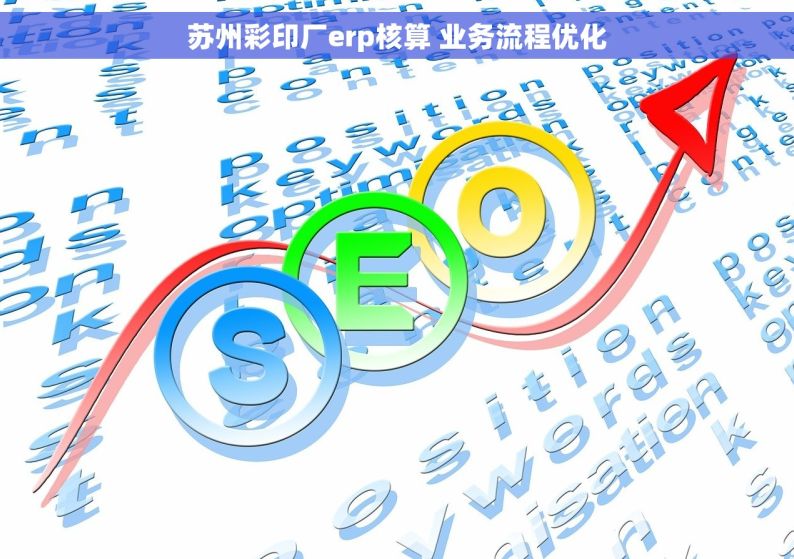 苏州彩印厂erp核算 业务流程优化