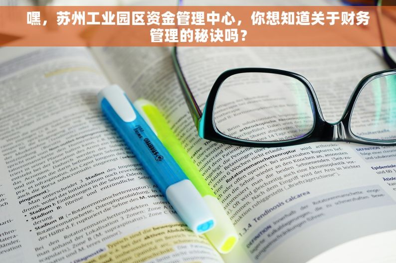 嘿，苏州工业园区资金管理中心，你想知道关于财务管理的秘诀吗？