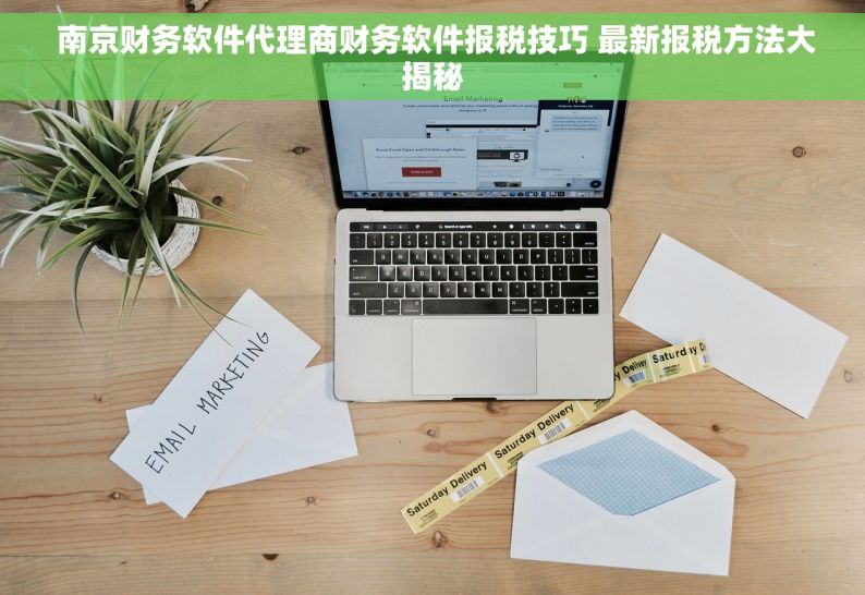  南京财务软件代理商财务软件报税技巧 最新报税方法大揭秘