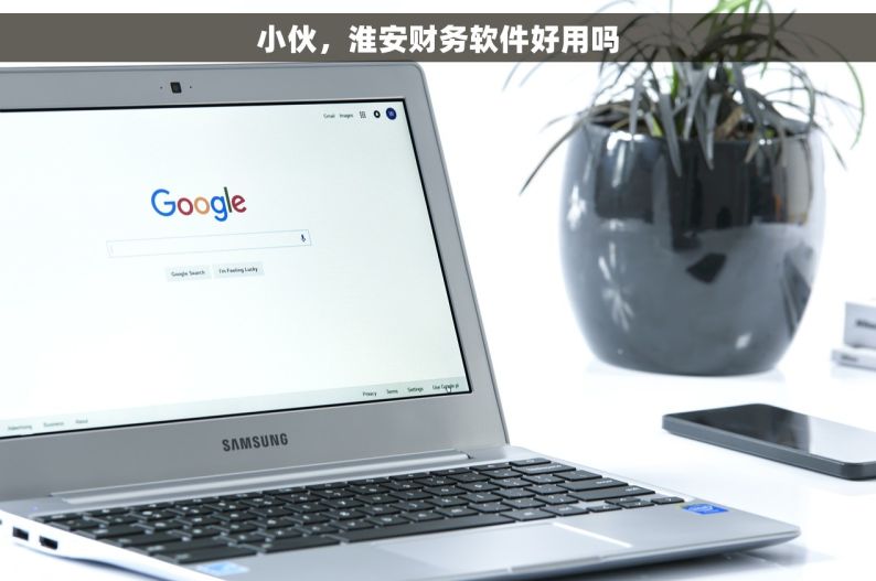 小伙，淮安财务软件好用吗