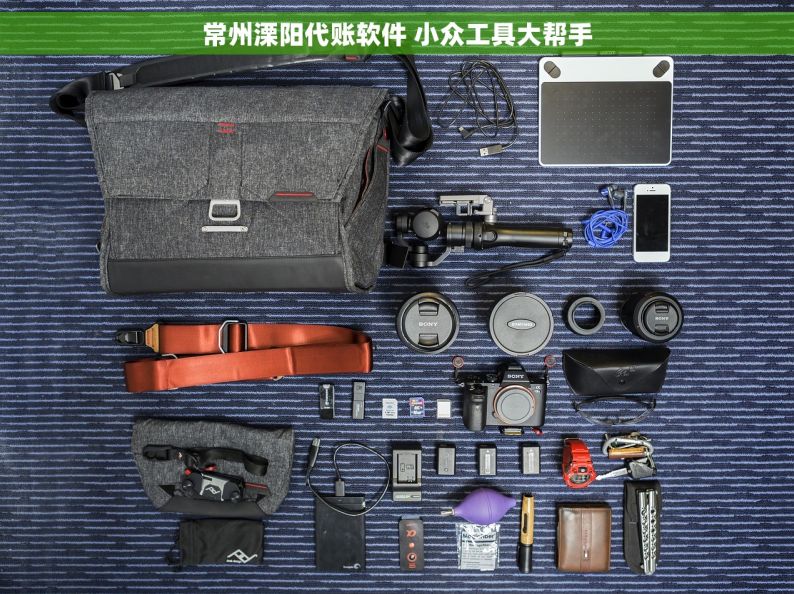 常州溧阳代账软件 小众工具大帮手