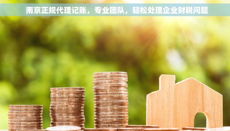   南京正规代理记账，专业团队，轻松处理企业财税问题