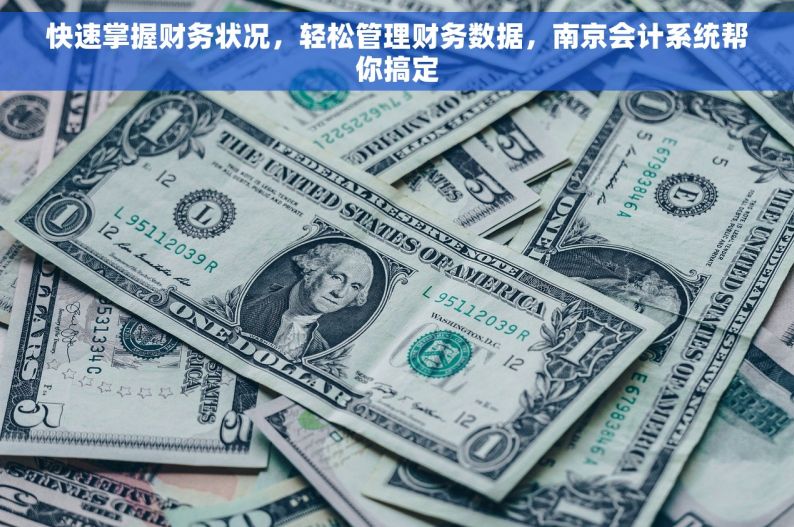 快速掌握财务状况，轻松管理财务数据，南京会计系统帮你搞定