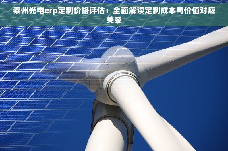 泰州光电erp定制价格评估：全面解读定制成本与价值对应关系