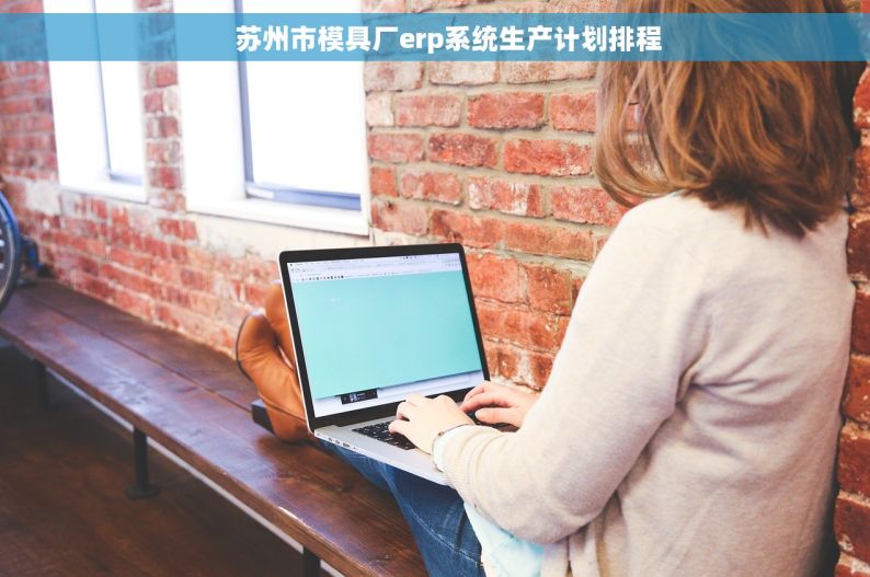     苏州市模具厂erp系统生产计划排程