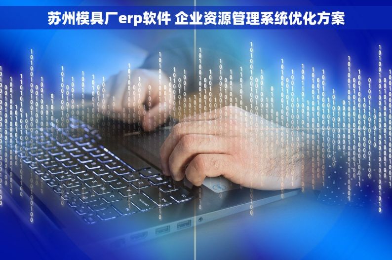 苏州模具厂erp软件 企业资源管理系统优化方案