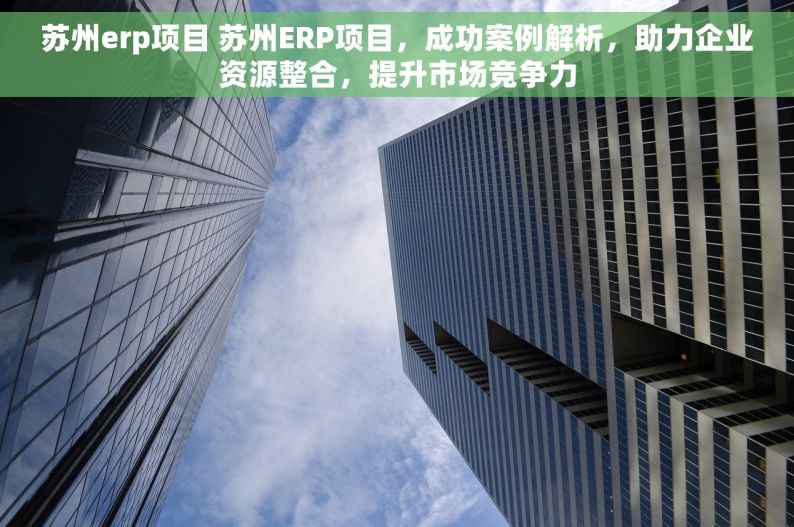苏州erp项目 苏州ERP项目，成功案例解析，助力企业资源整合，提升市场竞争力